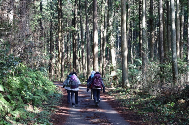 日和田山、物見山